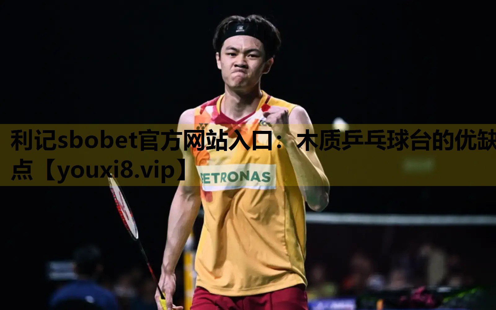 利记sbobet官方网站入口：木质乒乓球台的优缺点