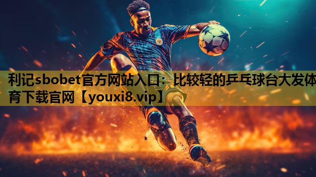 利记sbobet官方网站入口：比较轻的乒乓球台大发体育下载官网