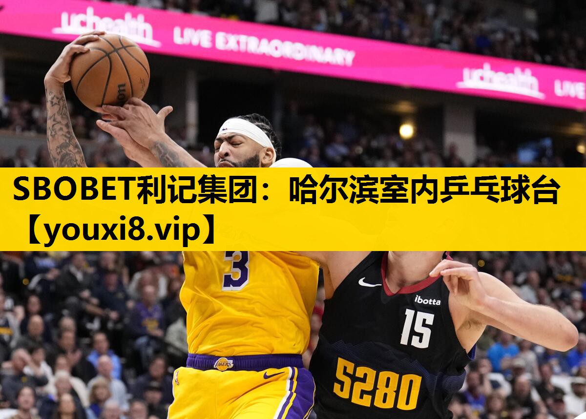 SBOBET利记集团：哈尔滨室内乒乓球台